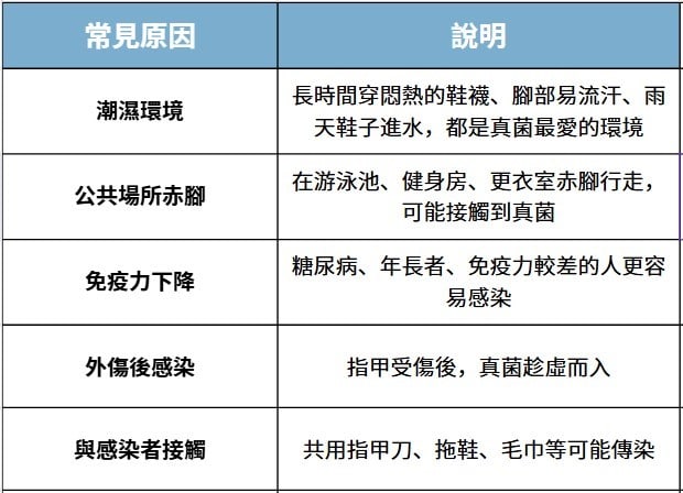 腳趾甲痛又醜,是嵌甲還是灰指甲?一篇搞懂原因、症狀與正確處理 腳趾甲痛又醜,是嵌甲還是灰指甲?一篇搞懂原因、症狀與正確處理